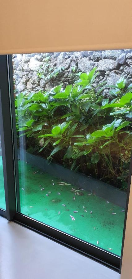 Arrenquinha Guesthouse 2 Πόντα Ντελγκάντα Εξωτερικό φωτογραφία